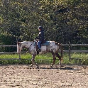 Meet your Posher, Ruthann